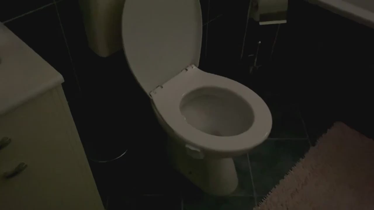 Toilet Bowl Light video description from AskSAMIE